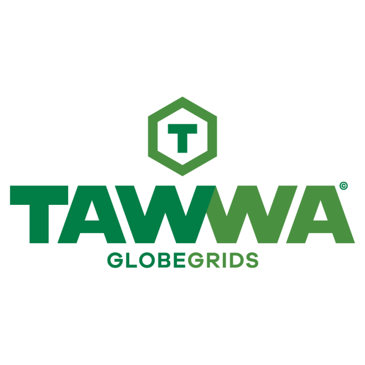 TAWWA GlobeGrid